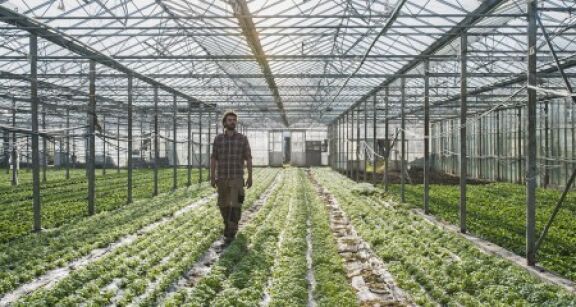 Plan de résilience : des aides pour soutenir l’agriculture
