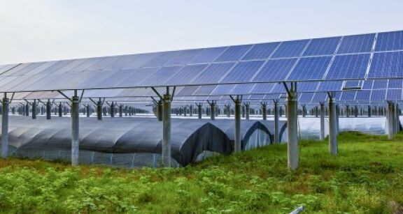 Vente d’une entreprise agricole dotée de panneaux photovoltaïques : quelle exonération fiscale ?