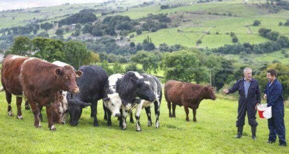 Crédit d’impôt pour congé de l’exploitant agricole : quels justificatifs ?