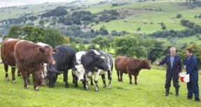 Crédit d’impôt pour congé de l’exploitant agricole : quels justificatifs ?