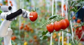 Aide à l’acquisition de matériels agricoles innovants