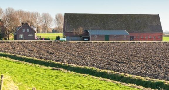 Bail rural : gare à la mention du domicile dans un congé pour reprise !