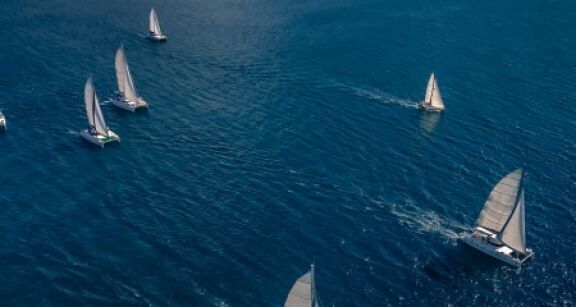 Une dizaine de chargeurs s’engagent pour soutenir le transport maritime vélique