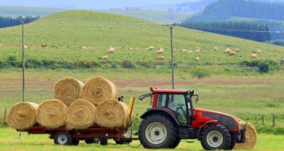Suspension de l’interdiction du broyage et du fauchage des jachères