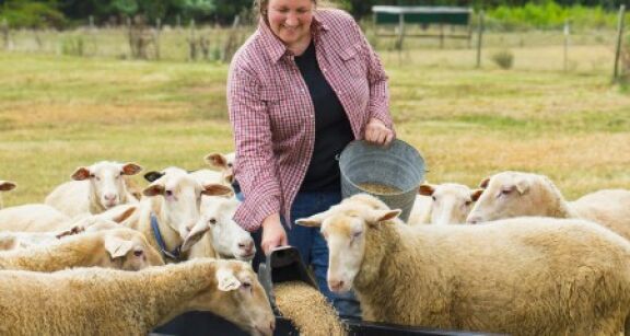 Éleveurs : une aide à l’achat d’aliments pour animaux