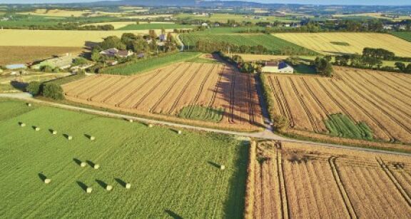 Le marché des terres agricoles en 2021