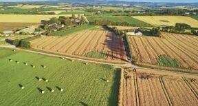 Le marché des terres agricoles en 2021