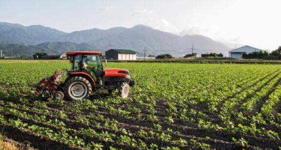 Inflation : tous les ménages n’y sont pas exposés de la même façon