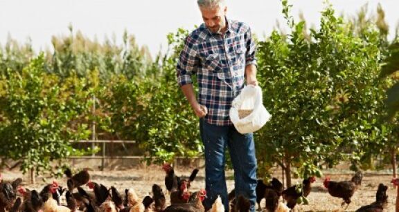 Éleveurs : l’interdiction des dénominations animales pour désigner des denrées végétales est suspendue !