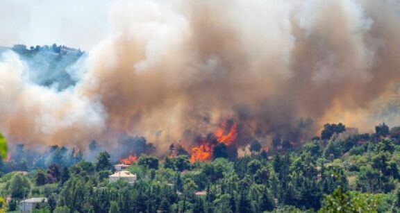 L’Urssaf au chevet des entreprises touchées par les feux de forêts