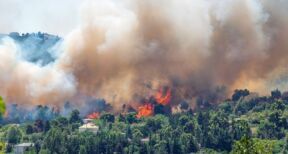 L’Urssaf au chevet des entreprises touchées par les feux de forêts