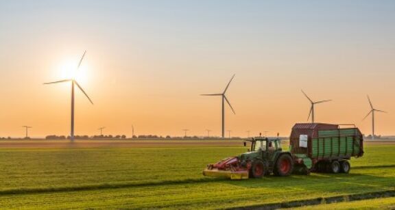 Réchauffement climatique : l’agriculture, le BTP et le tourisme en première ligne