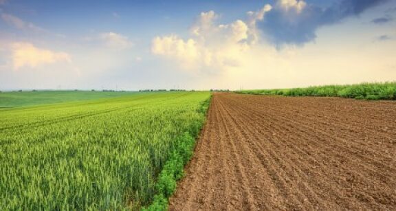 Quel prix pour les terres agricoles et viticoles en 2021 ?