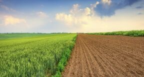 Quel prix pour les terres agricoles et viticoles en 2021 ?