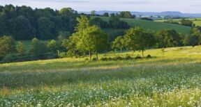 Un droit de préemption sur des terrains agricoles pour préserver la ressource en eau