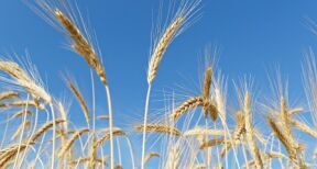 Commerce extérieur : le déficit se creuse au 3 trimestre