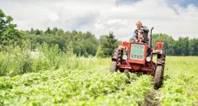 Du nouveau pour la fiscalité des exploitations agricoles