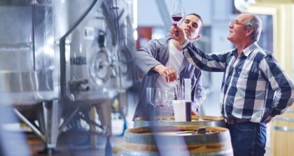 Viticulteurs : aide aux investissements vitivinicoles 2023