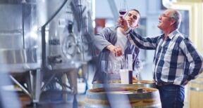 Viticulteurs : aide aux investissements vitivinicoles 2023