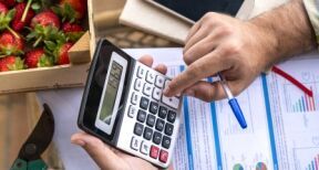 Exploitants agricoles : une seule déclaration de revenus en 2023