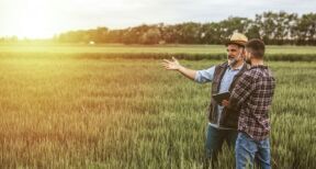 Mise à disposition d’une société de terres agricoles louées : gare à l’information du bailleur !