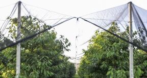 Aide aux investissements protégeant les exploitations agricoles contre les aléas climatiques