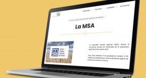 Quel régime social pour le président d’une SAS exerçant une activité agricole ?