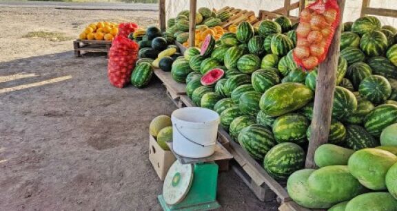 Vente au déballage : une amende forfaitaire possible en cas d’irrégularité