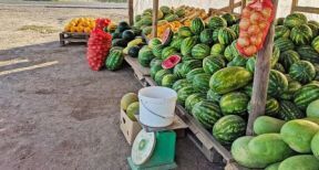 Vente au déballage : une amende forfaitaire possible en cas d’irrégularité