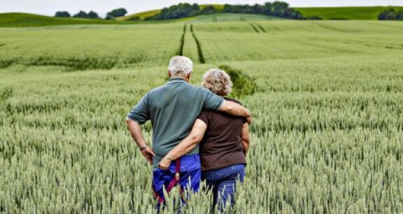 Transmission du bail rural au conjoint de l’exploitant décédé : à quelles conditions ?