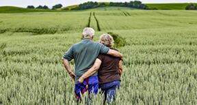 Transmission du bail rural au conjoint de l’exploitant décédé : à quelles conditions ?