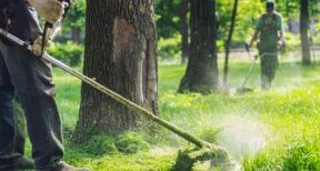 Insertion : nouveaux territoires zéro chômeur de longue durée