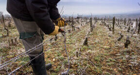 PAC 2023-2027 : Les conditions de travail des salari&eacute;s agricoles, une nouvelle conditionnalit&eacute;