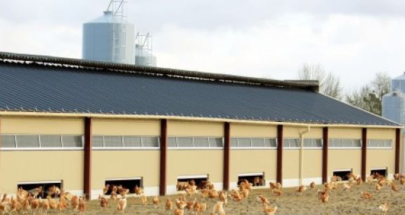 Agriculteurs&#x00a0;: les amortissements exceptionnels dont vous pouvez b&#x00e9;n&#x00e9;ficier