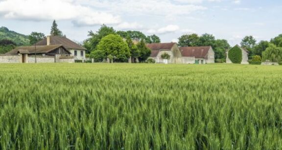 Exonération des biens ruraux loués par bail à long terme : du nouveau ?