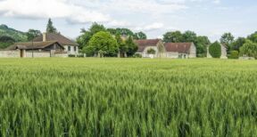 Exonération des biens ruraux loués par bail à long terme : du nouveau ?