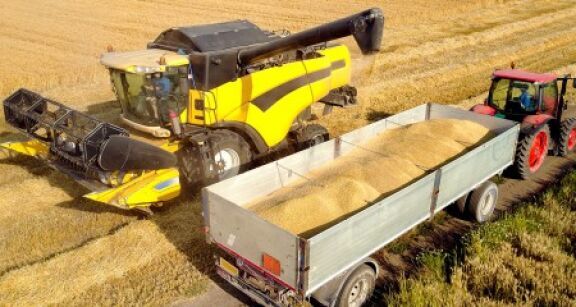 Céréaliers : l’Anses réautorise la phosphine mais confirme le retrait du S-métolachlore