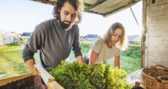 Jeunes agriculteurs : option pour le taux réduit de la cotisation Amexa