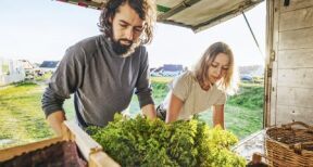 Jeunes agriculteurs : option pour le taux réduit de la cotisation Amexa