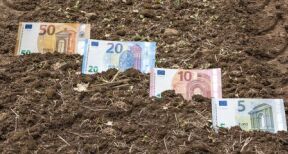 Les prix des terres agricoles en hausse en 2022