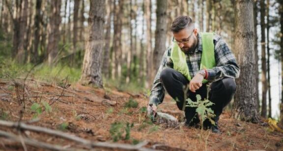 Experts forestiers : accès aux données cadastrales