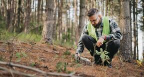Experts forestiers : accès aux données cadastrales