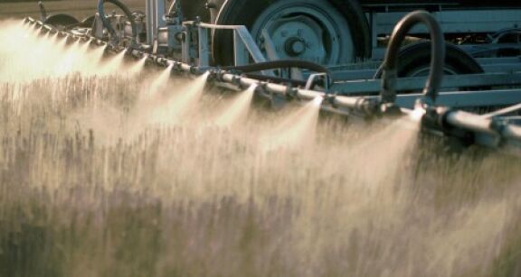 Céréaliculteurs : un sursis pour le S-métolachlore en Europe