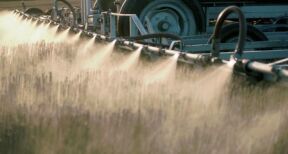 Céréaliculteurs : un sursis pour le S-métolachlore en Europe