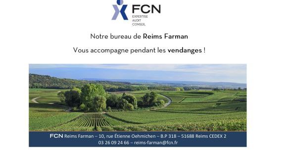 Le bureau de Reims Farman vous accompagne pendant les vendanges !