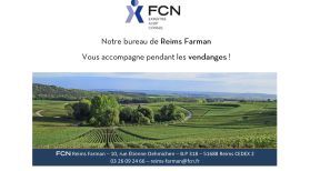 Le bureau de Reims Farman vous accompagne pendant les vendanges !