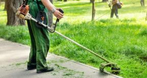 Insertion : des mesures en faveur des travailleurs handicapés