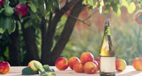 Arboriculteurs : aide à la plantation de pommiers à cidre