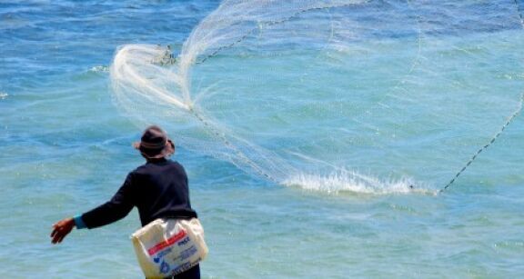 Les Français sont plus éloignés de l’emploi dans les DOM qu’en métropole