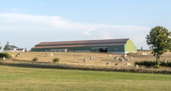 Baux ruraux : nouvelle forte hausse du montant des fermages